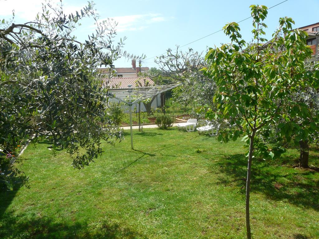 Apartmán Mirela
