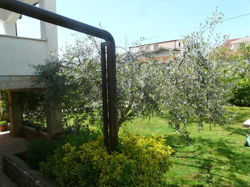Mirela Apartmán