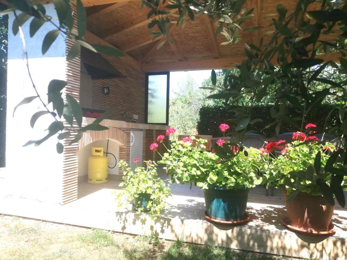 Mirela Apartment